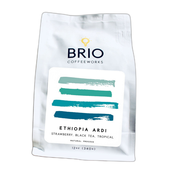 Ethiopia Sidama Ardi - 12 oz. by Brio Coffeeworks